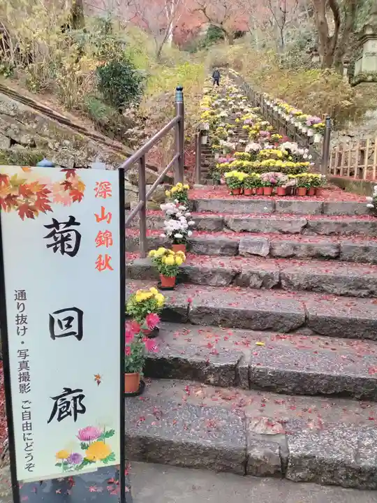 長谷寺(奈良県)