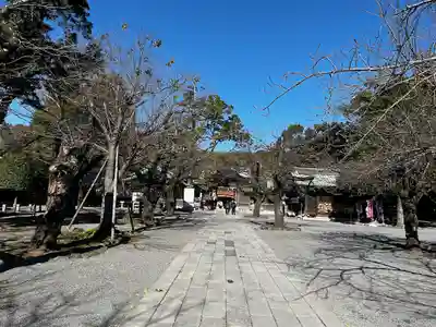 三嶋大社(静岡県)