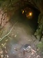 胎内神社(静岡県)