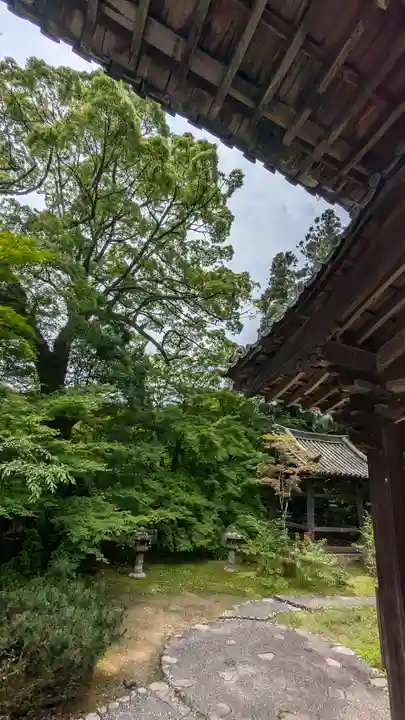 十輪寺(京都府)