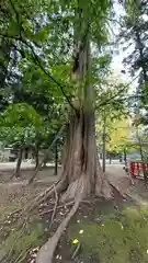 祇園八坂神社(宮城県)