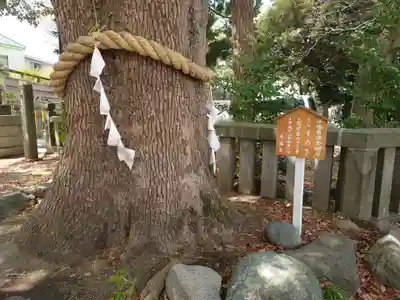 平塚三嶋神社(神奈川県)