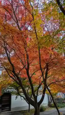 興聖寺(京都府)