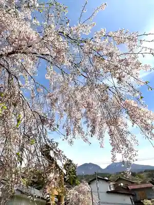 新海三社神社(長野県)
