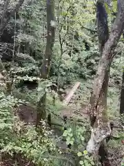 九頭龍神社(東京都)