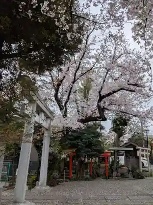 本郷氷川神社(東京都)