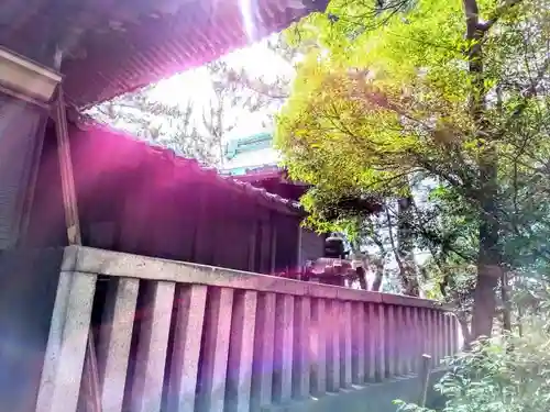 浅間社（鶴ヶ崎神社）の本殿