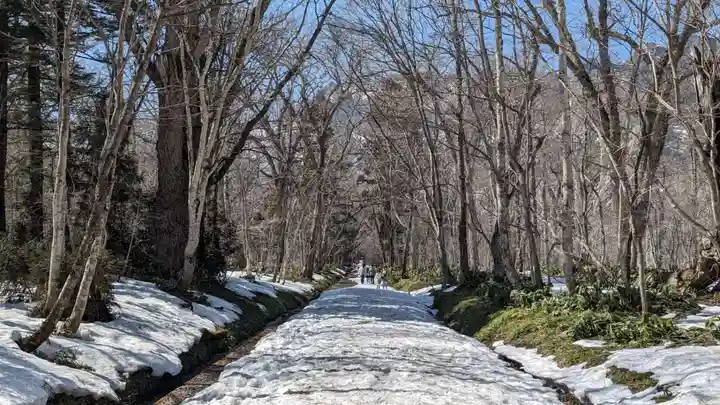 戸隠神社奥社(長野県)