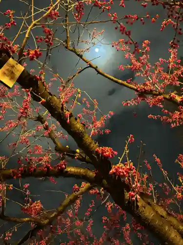 櫛田神社の{uncategorized: "未分類", other: "その他", undefined: "問題あり", building: "その他建物", grave: "お墓", sacred_gate: "鳥居", guardian: "狛犬", statue: "像", buddha: "仏像", history: "歴史", nature: "自然", garden: "庭園", animal: "動物", pagoda: "塔", temizu: "手水舎", mountain_gate: "山門・神門", sanctuary: "本殿・本堂", subordinate: "末社・摂社", art: "芸術", scenery: "景色", jizo: "地蔵", ema: "絵馬", goshuin: "御朱印", omikuji: "おみくじ", items: "授与品その他", amulet: "お守り", goshuincho: "御朱印帳", eats: "食事", festival: "お祭り", votive_dance: "神楽", shichigosan: "七五三参", wedding: "結婚式", experience: "体験その他", initially: "初詣", around: "周辺", anti_infection: "感染症対策"}