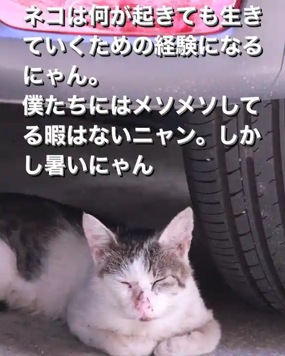 専念寺(大阪府)