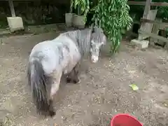 大石神社の動物