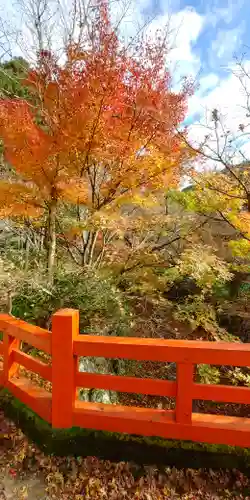 神藏寺の景色