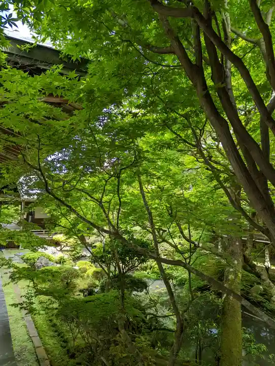 禅林寺(永観堂)(京都府)