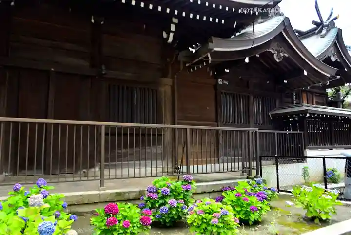 磐井神社(東京都)