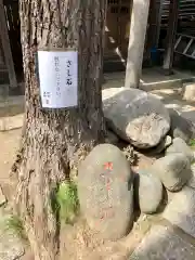 於咲稲荷神社・波除（浪除）稲荷神社の建物その他