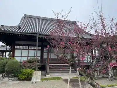 妙昌寺(三重県)