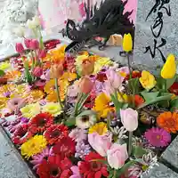 札幌諏訪神社の手水舎