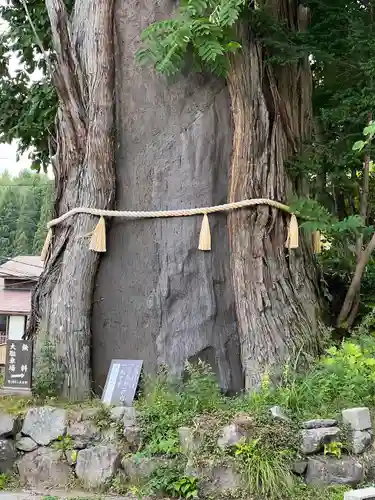 戸隠神社中社(長野県)