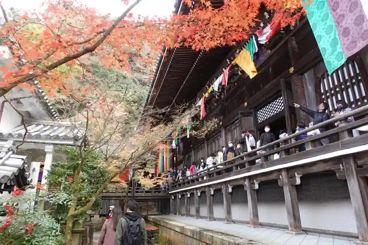 禅林寺(永観堂)(京都府)