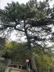 八百富神社(愛知県)