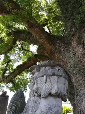 上代阿蘇神社(熊本県)