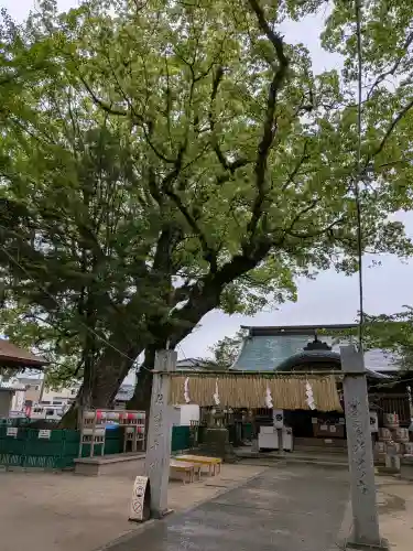 現人神社の{uncategorized: "未分類", other: "その他", undefined: "問題あり", building: "その他建物", grave: "お墓", sacred_gate: "鳥居", guardian: "狛犬", statue: "像", buddha: "仏像", history: "歴史", nature: "自然", garden: "庭園", animal: "動物", pagoda: "塔", temizu: "手水舎", mountain_gate: "山門・神門", sanctuary: "本殿・本堂", subordinate: "末社・摂社", art: "芸術", scenery: "景色", jizo: "地蔵", ema: "絵馬", goshuin: "御朱印", omikuji: "おみくじ", items: "授与品その他", amulet: "お守り", goshuincho: "御朱印帳", eats: "食事", festival: "お祭り", votive_dance: "神楽", shichigosan: "七五三参", wedding: "結婚式", experience: "体験その他", initially: "初詣", around: "周辺", anti_infection: "感染症対策"}