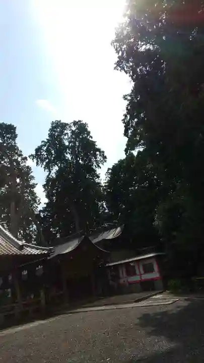 稗田野神社(薭田野神社)のその他建物