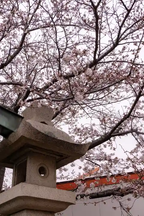 荒井神社の自然