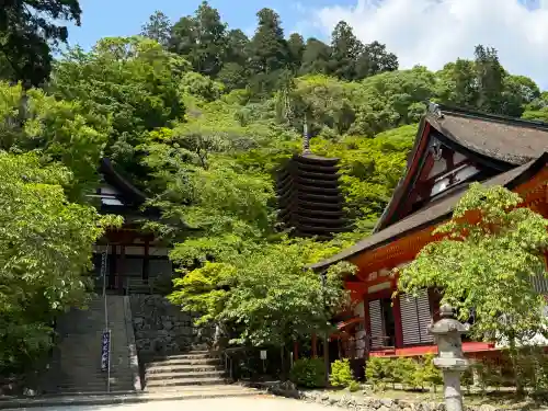 談山神社(奈良県)