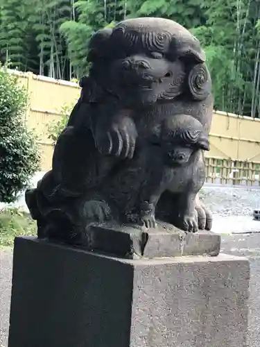 八杉神社の狛犬