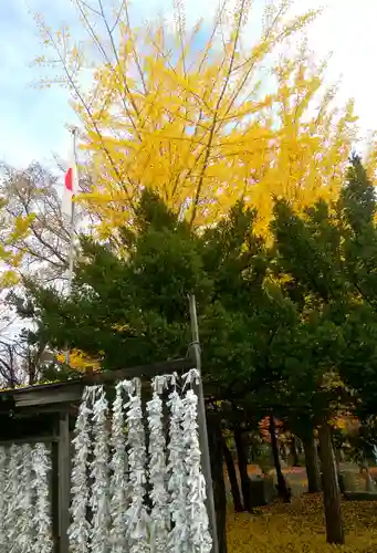 錦山天満宮のおみくじ