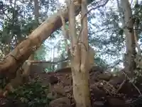 浅間神社のその他建物