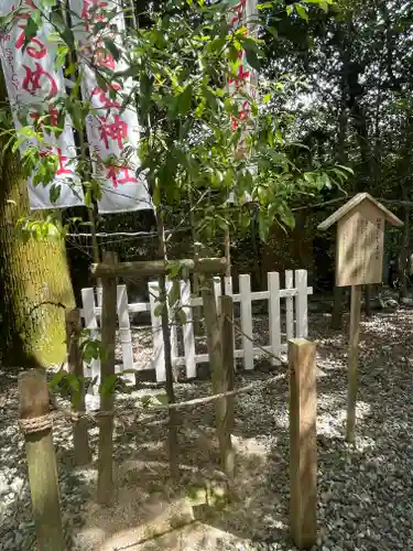 猿田彦神社のその他建物