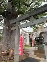三ツ木神社(埼玉県)