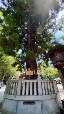 諏訪大社下社秋宮(長野県)