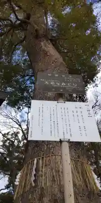 十九神社(兵庫県)