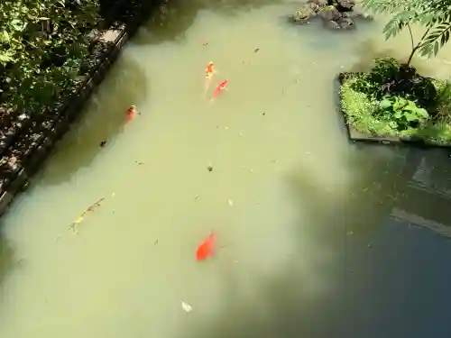 厳島神社(東京都)