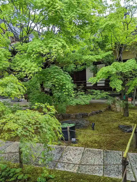 勝林寺(京都府)