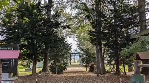 智恵文神社の景色