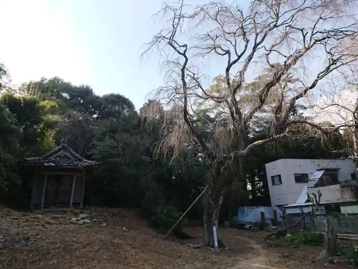 観音寺のその他建物