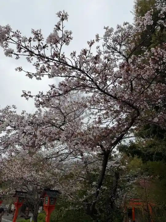 平野神社の{uncategorized: "未分類", other: "その他", undefined: "問題あり", building: "その他建物", grave: "お墓", sacred_gate: "鳥居", guardian: "狛犬", statue: "像", buddha: "仏像", history: "歴史", nature: "自然", garden: "庭園", animal: "動物", pagoda: "塔", temizu: "手水舎", mountain_gate: "山門・神門", sanctuary: "本殿・本堂", subordinate: "末社・摂社", art: "芸術", scenery: "景色", jizo: "地蔵", ema: "絵馬", goshuin: "御朱印", omikuji: "おみくじ", items: "授与品その他", amulet: "お守り", goshuincho: "御朱印帳", eats: "食事", festival: "お祭り", votive_dance: "神楽", shichigosan: "七五三参", wedding: "結婚式", experience: "体験その他", initially: "初詣", around: "周辺", anti_infection: "感染症対策"}