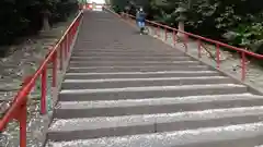 大崎八幡宮の建物その他