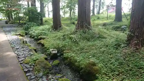 富士山東口本宮 冨士浅間神社の自然