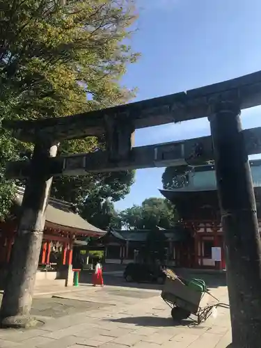 藤崎八旛宮の鳥居