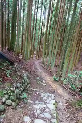 稚児松地蔵の自然