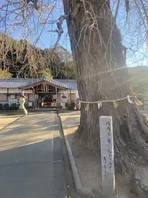 丹生酒殿神社の自然