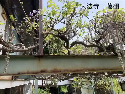 国宝 大法寺(長野県)