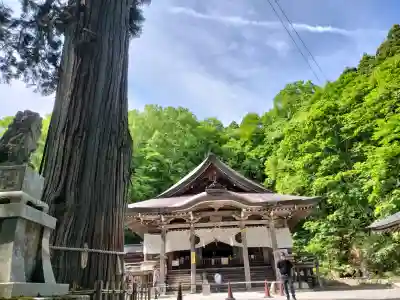 戸隠神社中社(長野県)