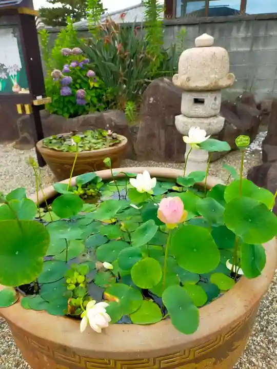 法泉寺(和歌山県)