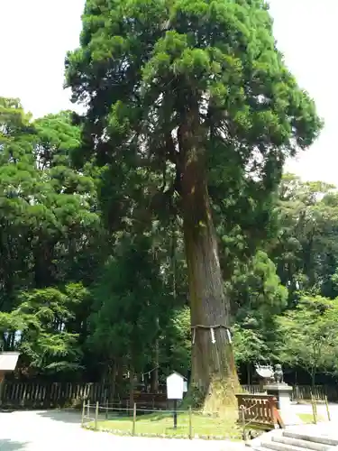 狭野神社(宮崎県)